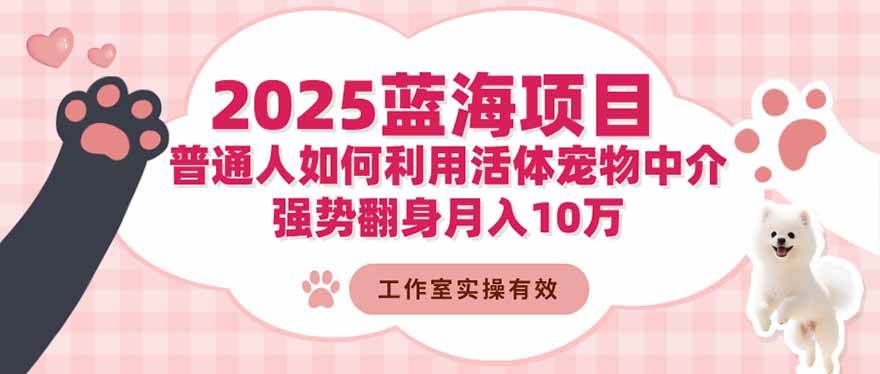 2025蓝海项目：普通人如何利用活体宠物中介，强势翻身月入10万-宇文网创