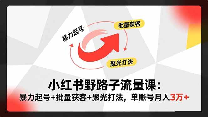 小红书野路子流量课：暴力起号+批量获客+聚光打法，单账号月入3万+-宇文网创