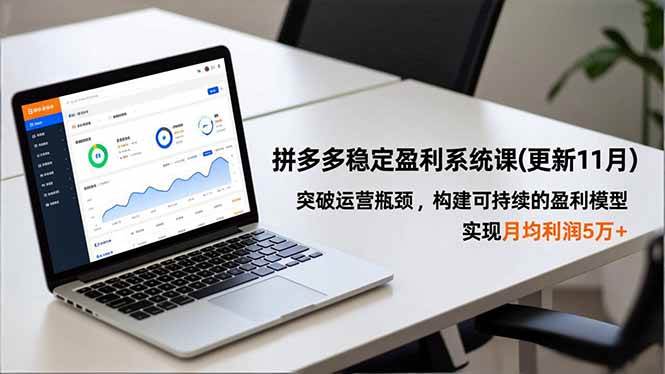 拼多多稳定盈利系统课(更新11月)，突破运营瓶颈，构建可持续的盈利模型，实现月均利润5万+-宇文网创