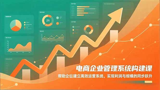 电商企业管理系统构建课：帮助企业建立高效运营系统，实现利润与规模的同步跃升-宇文网创