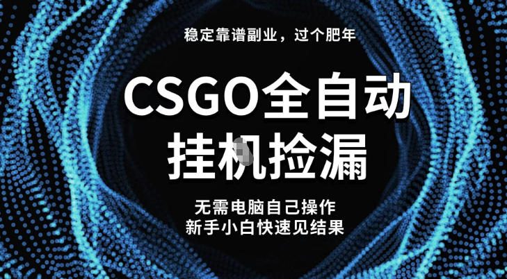 【稳定副业】全球最热门游戏CSGO全自动捡漏，最新玩法，新手小白日入5张+【揭秘】-宇文网创