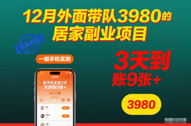 12月外面带队3980的居家副业项目，一部手机实测3天到账9张+，首发教程【揭秘】-宇文网创