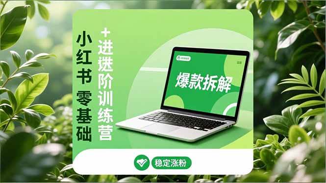 小红书零基础+高阶训练营：安全养号、爆款拆解、长效运营，实现稳定涨粉与变现-宇文网创