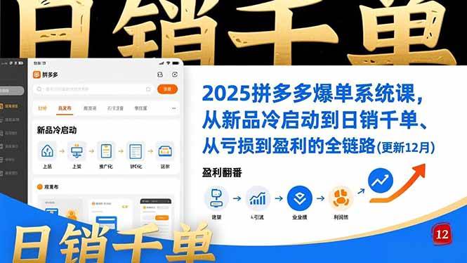 2025拼多多爆单系统课，从新品冷启动到日销千单、从亏损到盈利的全链路-宇文网创