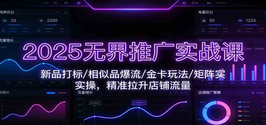 2025无界推广实战课：新品打标/相似品爆流/金卡玩法/矩阵实操，精准拉升店铺流量-宇文网创