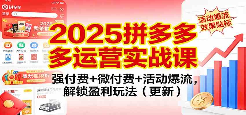 2025拼多多运营实战课：强付费+微付费+活动爆流，解锁盈利玩法（更新）-宇文网创