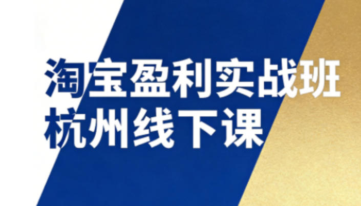 淘宝盈利实战班杭州线下课12月26-28日（音频+字幕），帮你掌握SOP流程+12门核心技术-宇文网创