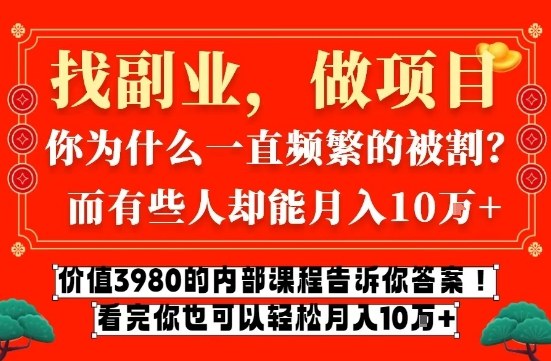 价值3980的网创内部课程，告诉你互联网创业月入10个W的秘密【揭秘】-宇文网创