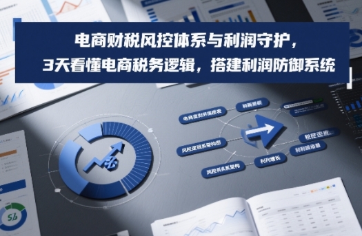 电商财税风控体系与利润守护，3天看懂电商税务逻辑，搭建利润防御系统-宇文网创