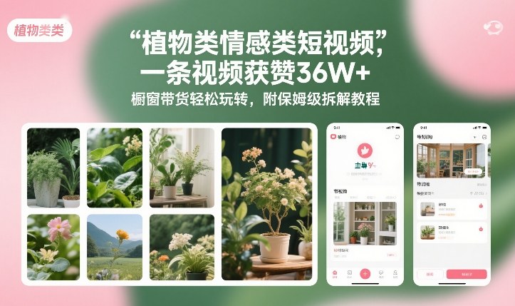 植物类情感类短视频，一条视频获赞36W+，橱窗带货轻松玩转，附保姆级拆解教程-宇文网创