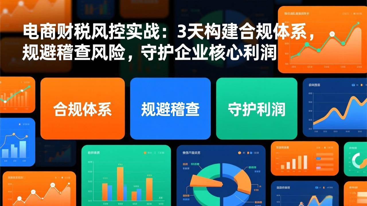 电商财税风控实战：3天构建合规体系，规避稽查风险，守护企业核心利润-宇文网创