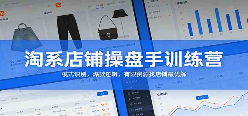 淘系店铺操盘手训练营：模式识别，爆款逻辑，有限资源找店铺最优解-宇文网创